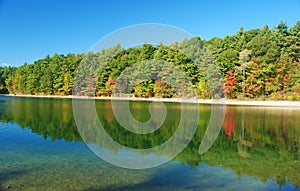 The Walden Pond.