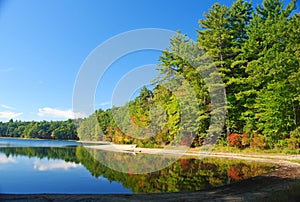 The Walden Pond near Concord, MA