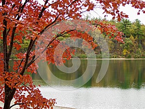 Walden Pond