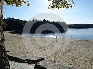 Walden Pond and Walden Pond State Reservation, Concord, Massachusetts, USA