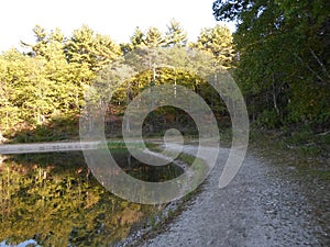 Walden Pond and Walden Pond State Reservation, Concord, Massachusetts, USA