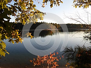 Walden Pond and Walden Pond State Reservation, Concord, Massachusetts, USA