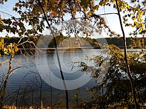 Walden Pond and Walden Pond State Reservation, Concord, Massachusetts, USA