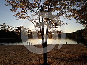 Walden Pond and Walden Pond State Reservation, Concord, Massachusetts, USA