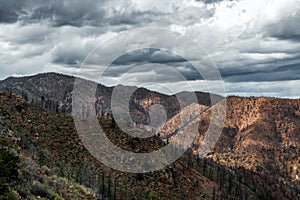 Waldo canyon fire colorado springs