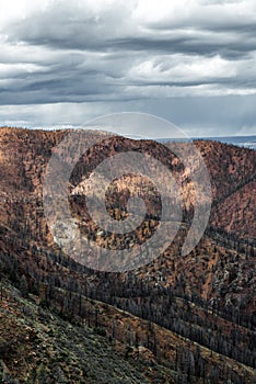 Waldo canyon fire colorado springs