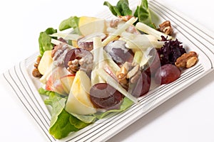 Waldorf salad over white