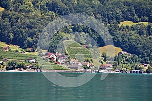 Walensee and vineyards in Switzerland