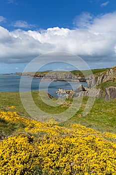 Wales Coastal Path Pembrokeshire UK