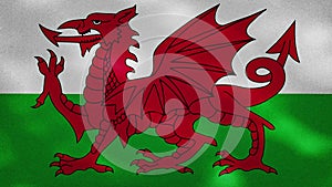 Wales dense flag fabric wavers, background loop