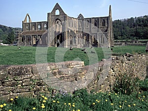 Wales, Wye Valley, Tintern Abbey