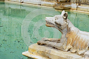 She walf detail of Fonte Gaia is monumental fountain in Piazza del Campo in Siena. Italy