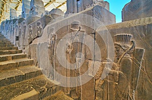 Walk along historic stairs in Persepolis, Iran