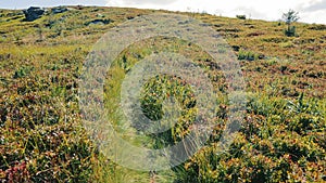 A walk along a mountain path, a first-person view.