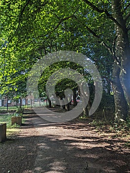 A walk along the nature trailway