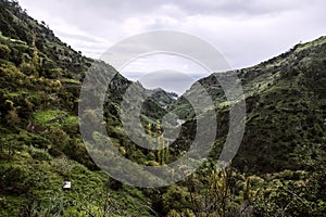 Walk along the paths of Levada Nova, Madeira