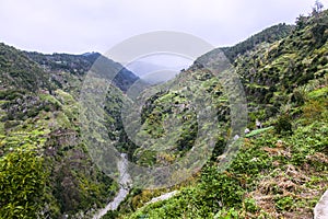 Walk along the paths of Levada Nova, Madeira