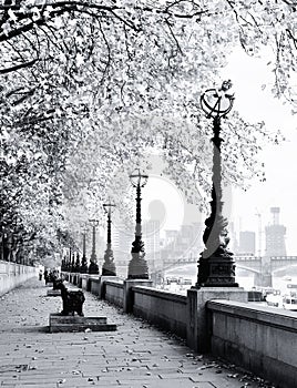 Walk along the Thames in London