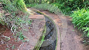 Walk around water irrigation channel, levada in Madeira, Portugal. Levada do Rei