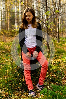 walk through the autumn forestwalk through the autumn forest