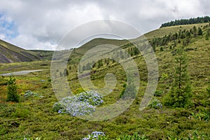 Walk on the Azores archipelago. Discovery of the island of Sao Miguel, Azores