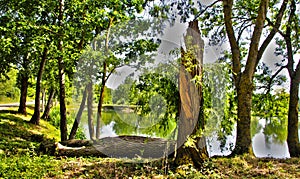 Walk on the banks of the Loir