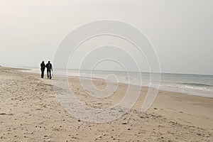 A Walk on the Beach