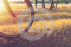 Walk on a bike in the autumn forest. The sun shines through the wheel of a bicycle in the forest