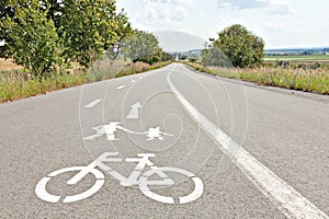 Walk and bike lane. Signs for bicycle and walking painted on the
