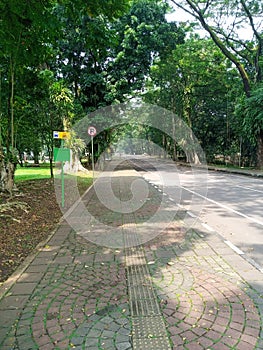 Walk at Bogor Agricultural Institute