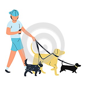 Walk boy dogs, pet leash, Isolated on white, friendship with pet, family member, design, flat style vector illustration.