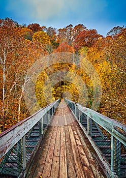 Walk Bridge with Fall Leaves