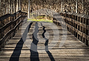 Walk Bridge Over Creek