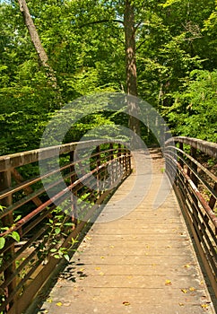 Walk Bridge Over Creek