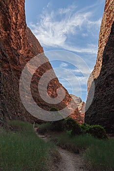 The walk into Catherdral Gorge, Purnululu, National Park