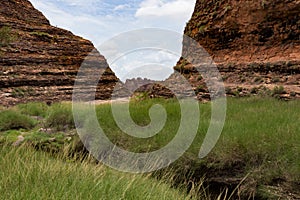 The walk into Catherdral Gorge, Purnululu, National Park