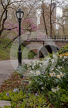 Walk in Central Park