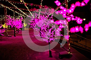 Walk of the city at night in winter. Alley with lights, trees, garlands