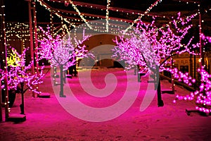 Walk of the city at night in winter. Alley with lights, trees, garlands