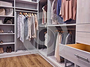 Walk in closet with clothes hanging and shoes on shelving