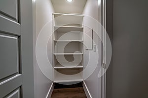 Walk in closet or pantry with empty wall shelves seen through open hinged door