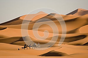 Trekking en camello en el desierto de África, las dunas de Merzouga, Marruecos.