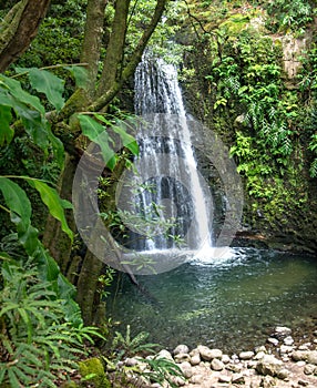 Walk and discover the prego salto waterfall on the island of sao miguel, azores