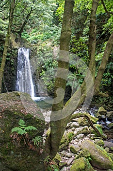 Walk and discover the prego salto waterfall on the island of sao miguel, azores