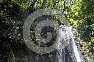 Walk and discover the prego salto waterfall on the island of sao miguel, azores