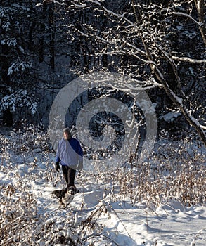 A walk with the dog through a frozen forest