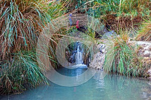 Walk in the Ein Gedi Nature Reserve