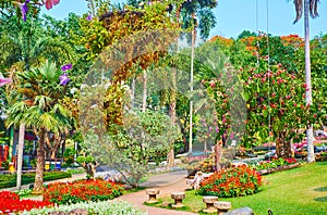 Walk among the flowers in Mae Fah Luang garden, Doi Tung, Thailand