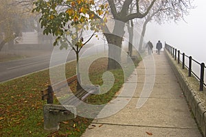 Walk on the foggy day