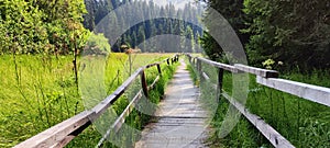 Walk in a forest on a wooden path, Kopaonik